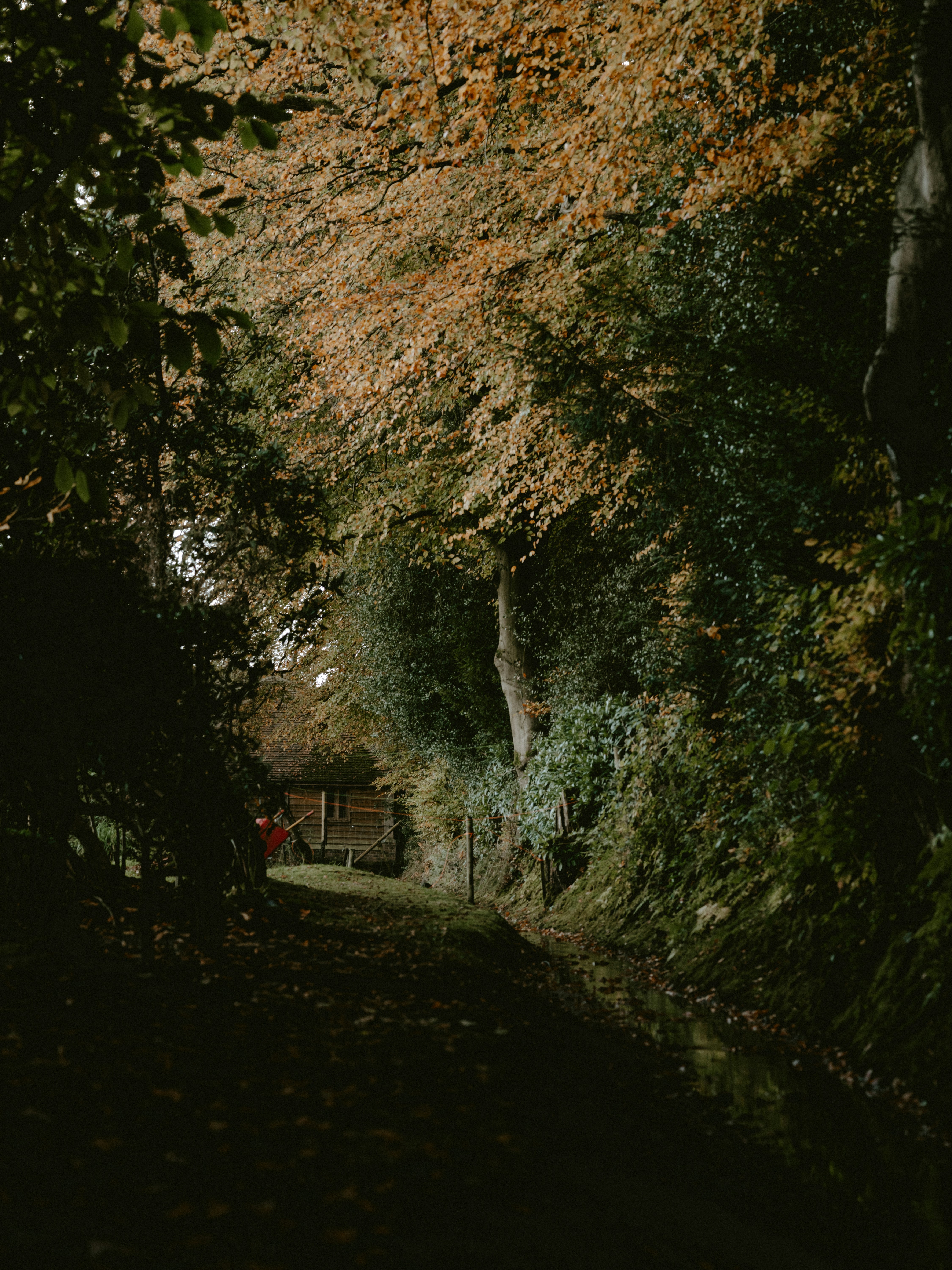 Photo by anniespratt