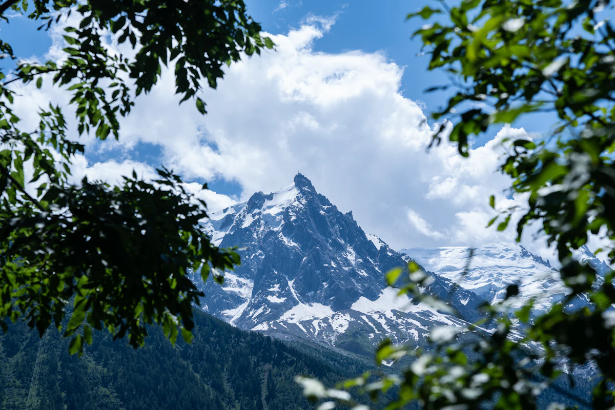 A pointed snowy peak above forest in the Chamonix valley, framed by leaves