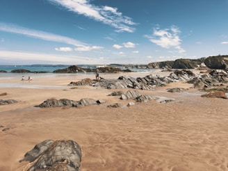 person standing on seashore during daytime