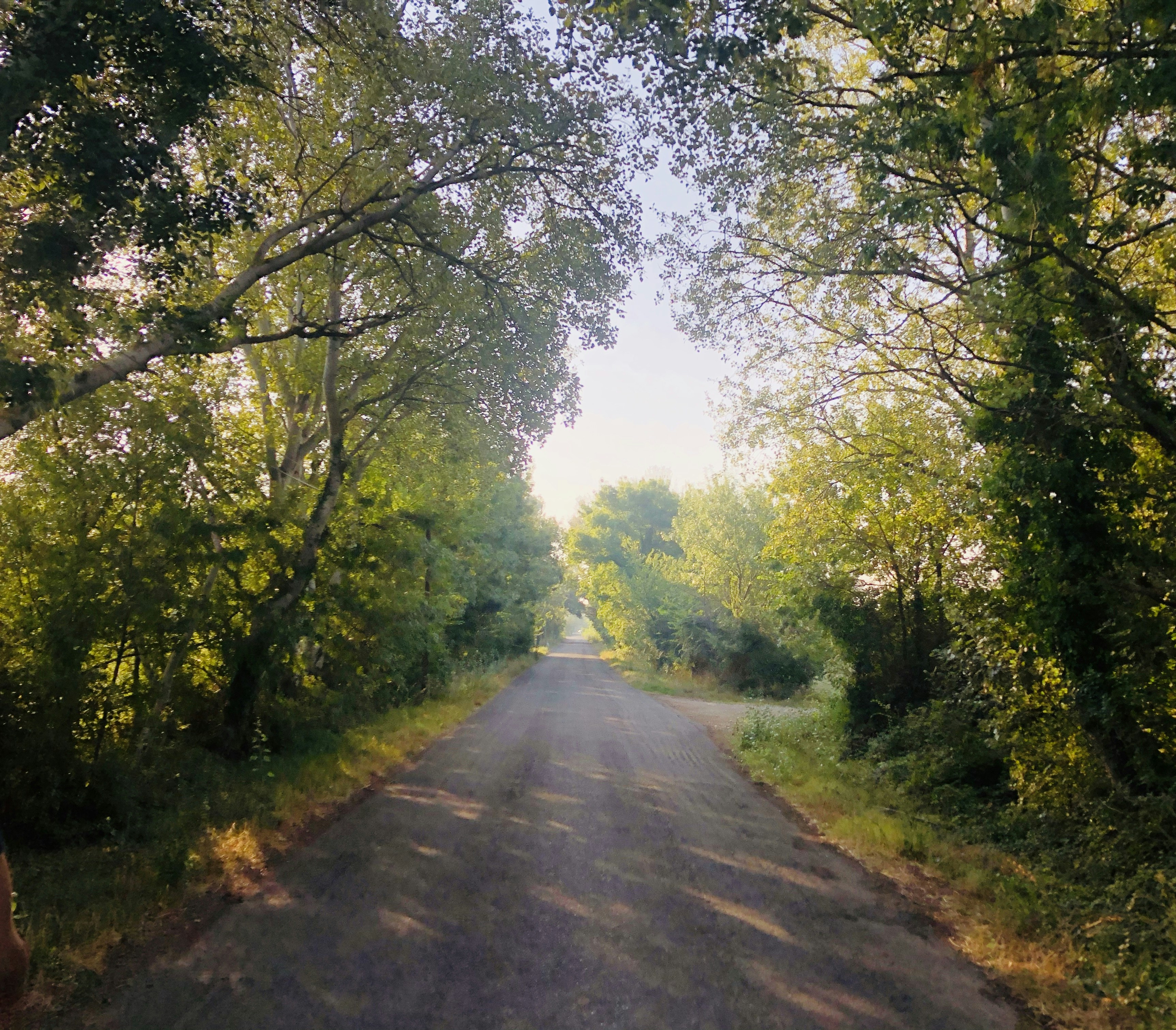 Photo by photography13300