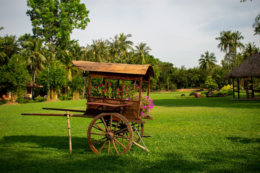 Resort photo spot Ho Chi Minh City Điện Biên Phủ