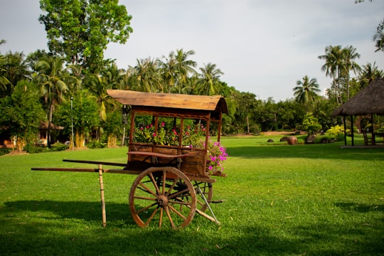 brown carriage on grass field in Ho Chi Minh City Vietnam