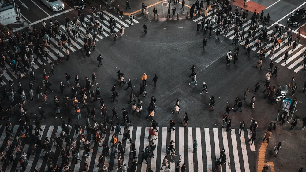 crowd walking on pedestrian lane during daytime