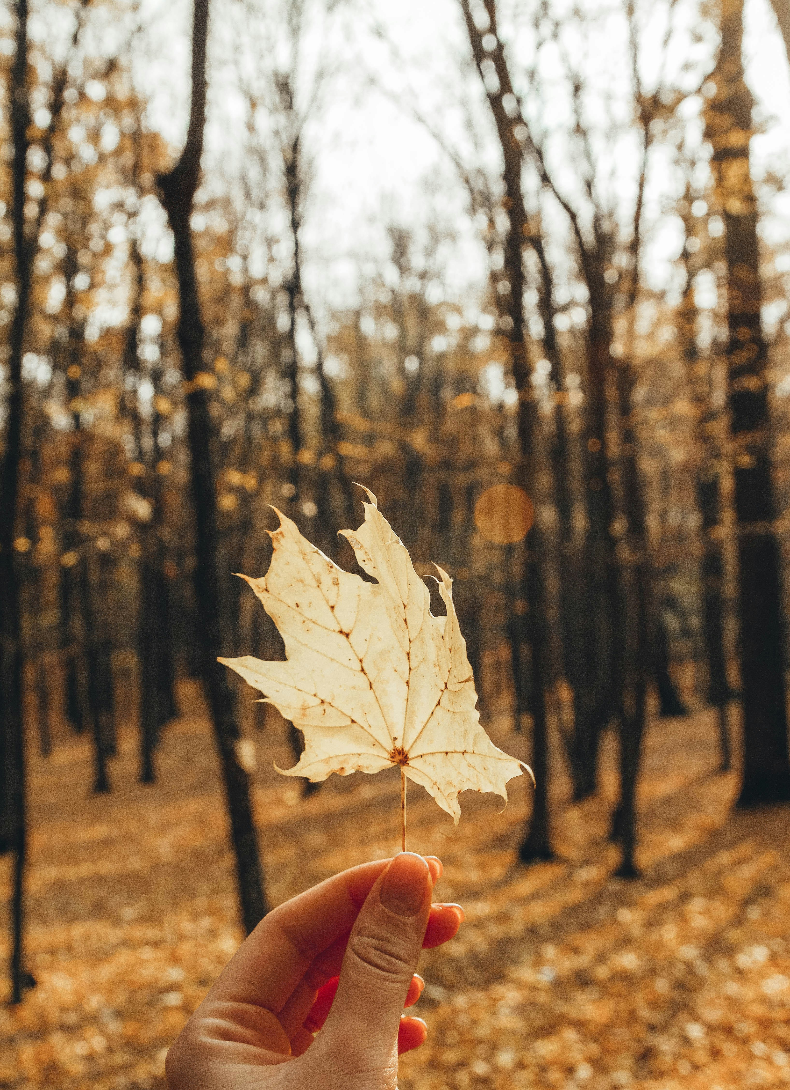 Photo by liubovilchuk