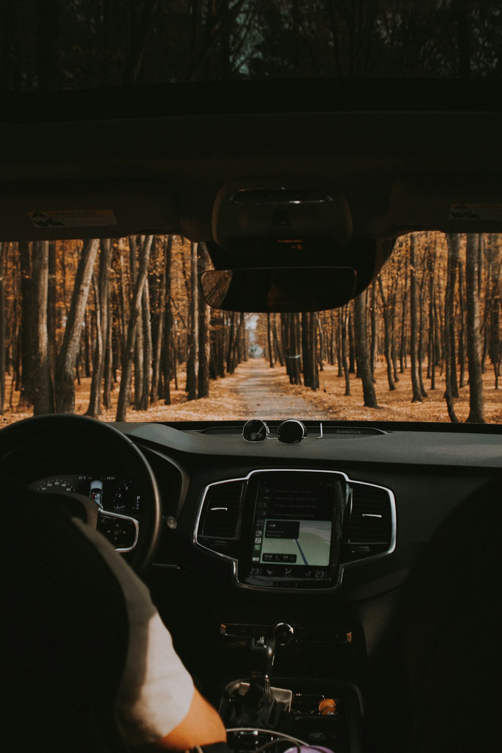 vehicle in forest