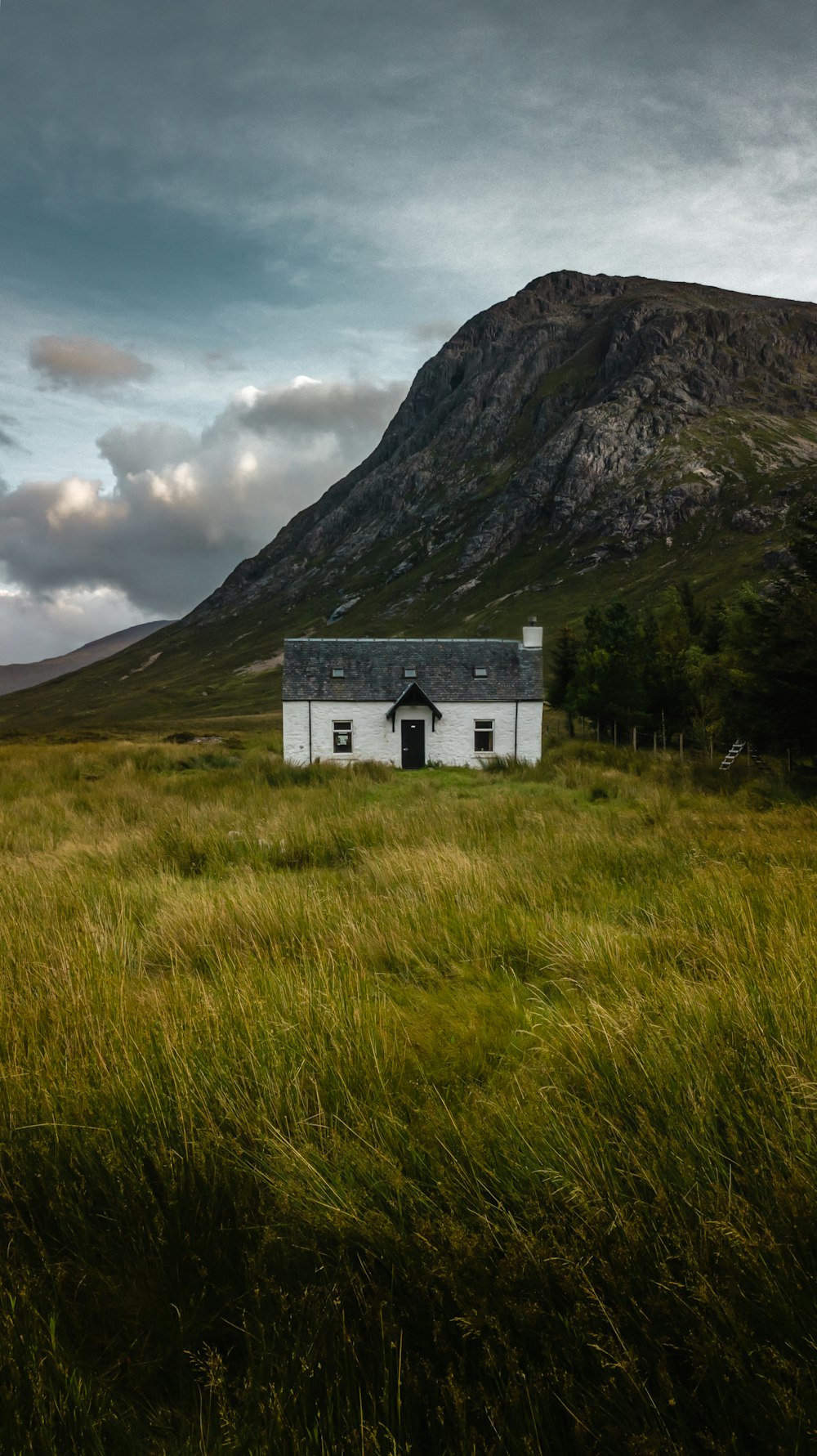 white and gray concrete house on plant field beside mountain