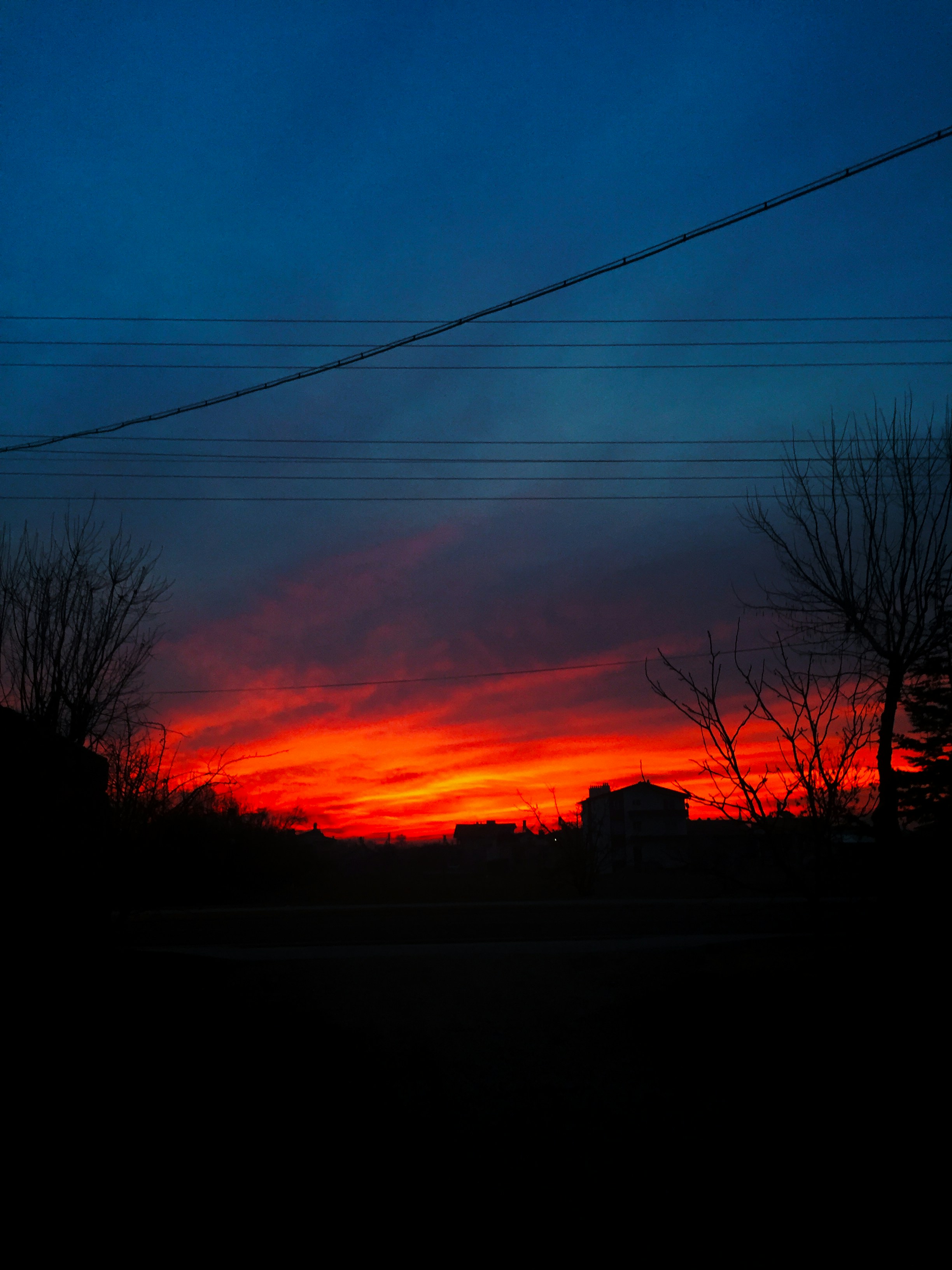 Photo by papamidnite