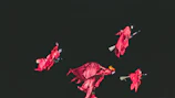 Illustration of five figures engaging in a spirited contest with wands crossing.