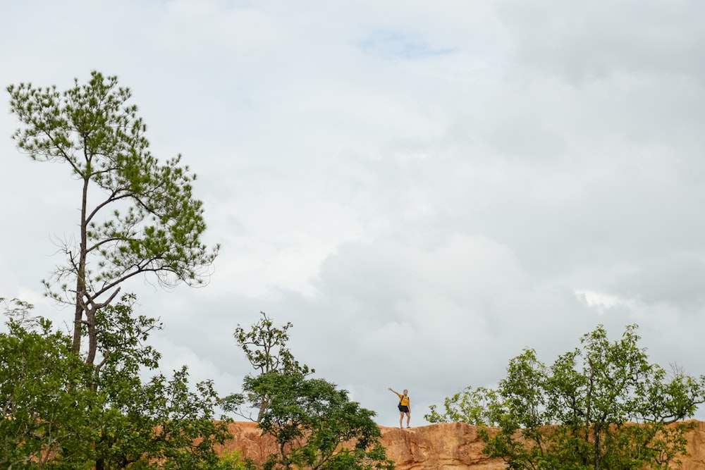 view photography of person standing on hill near trees under cloudy sky