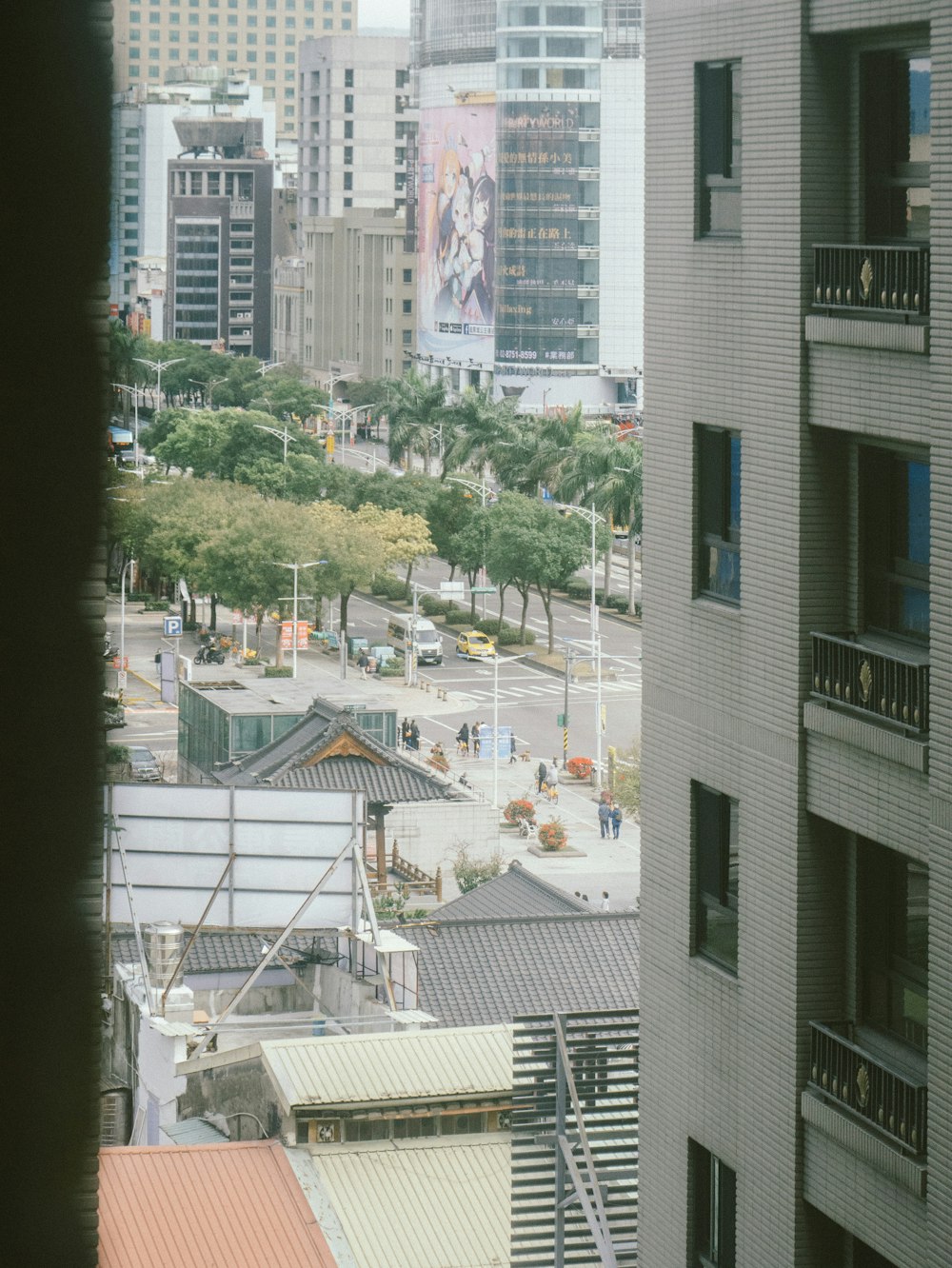 green-leafed trees beside building during daytime