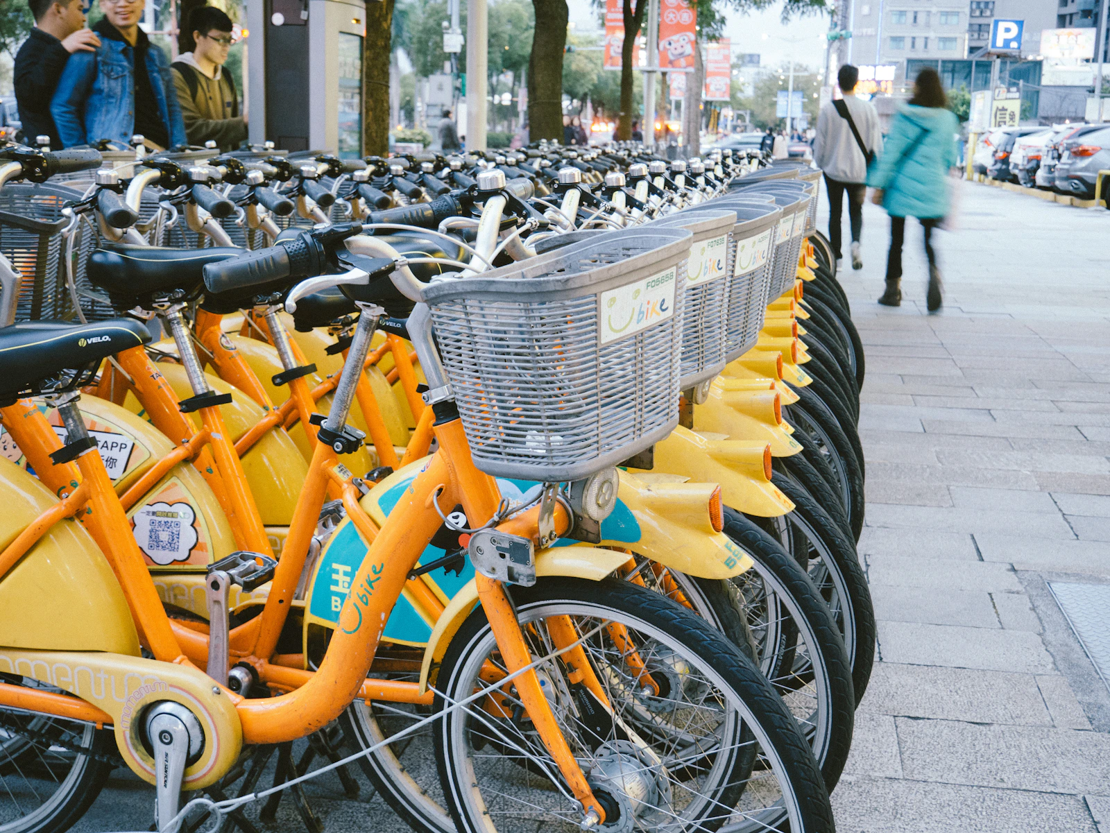 Dawn Walk to the Maya Devi Temple