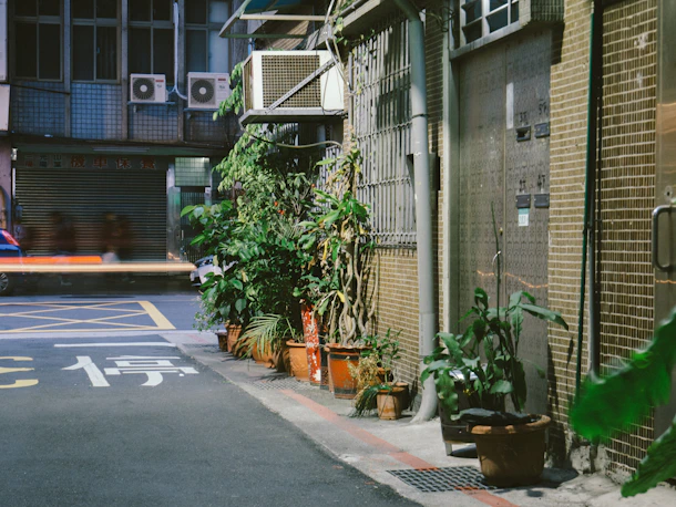 green leaf plants near road beside buildings