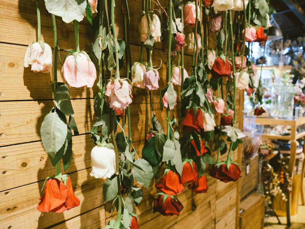 flowers hanging from wall