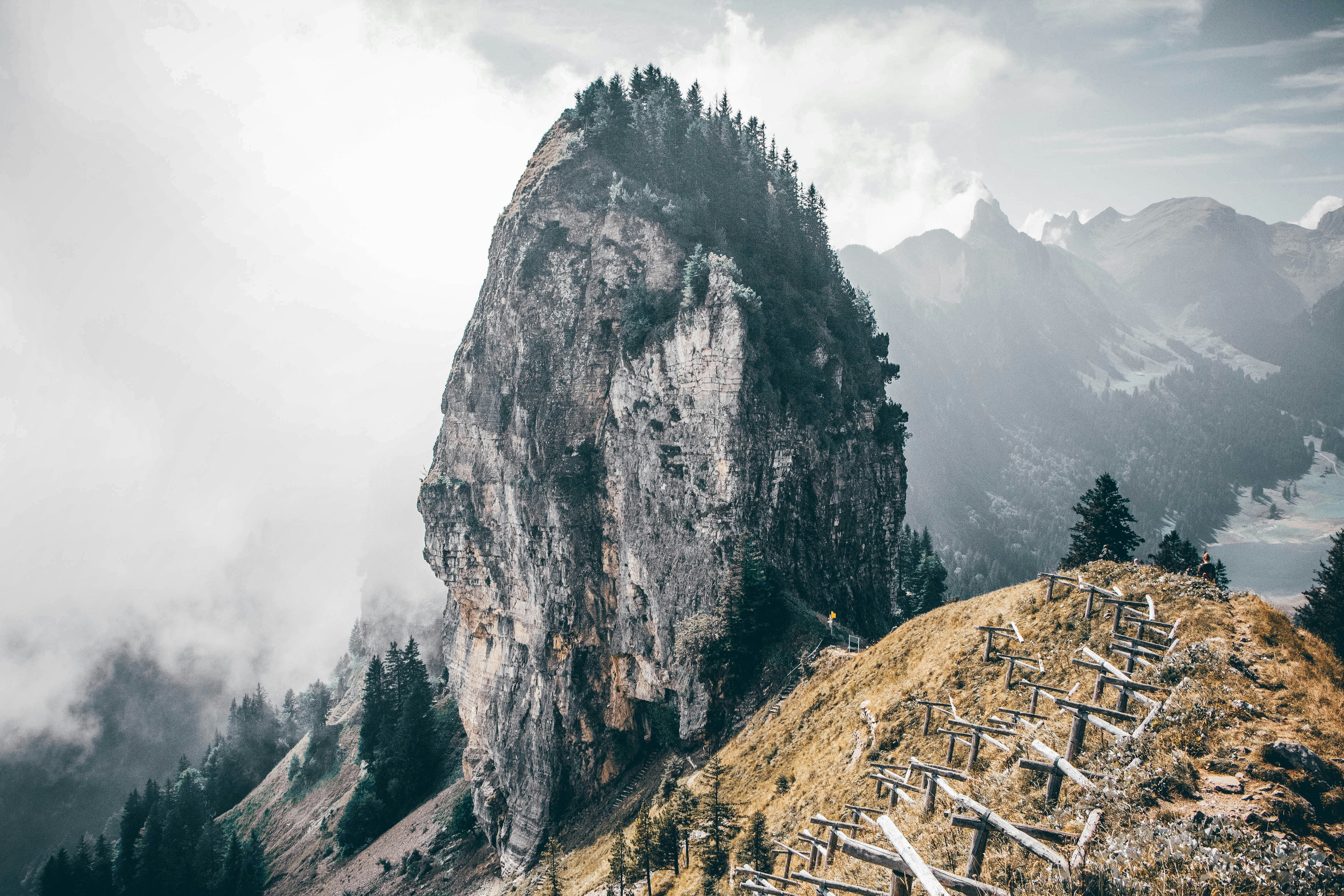 Photo by janoschphotos