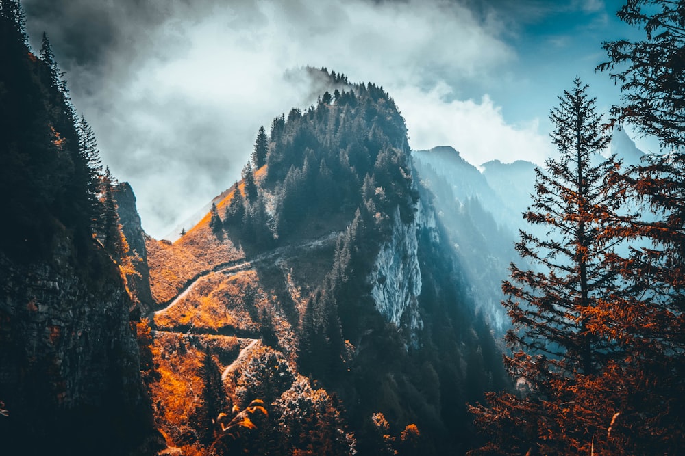 green trees under cloudy sky during daytime