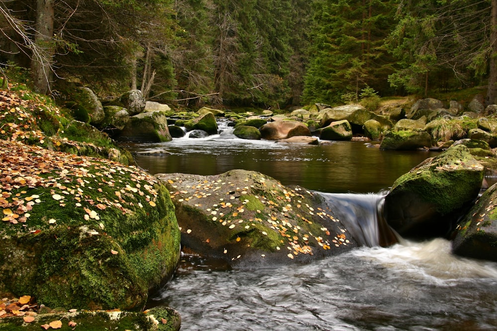 river during daytime