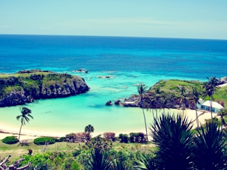 A stunning beach in Oceania with turquoise water and palm trees.