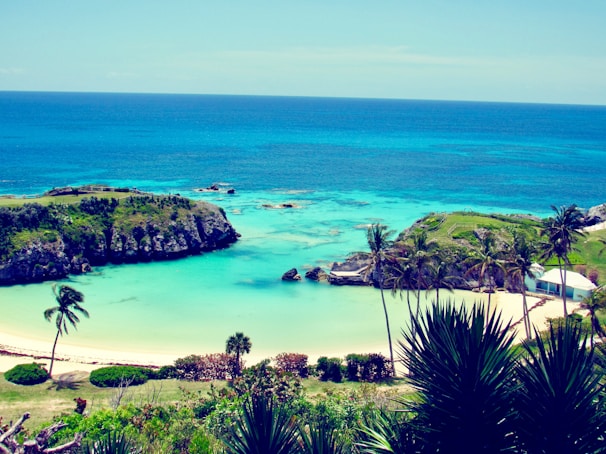 A stunning beach in Oceania with turquoise water and palm trees.