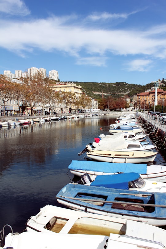 boats docked beside pier during day in Rijeka Croatia