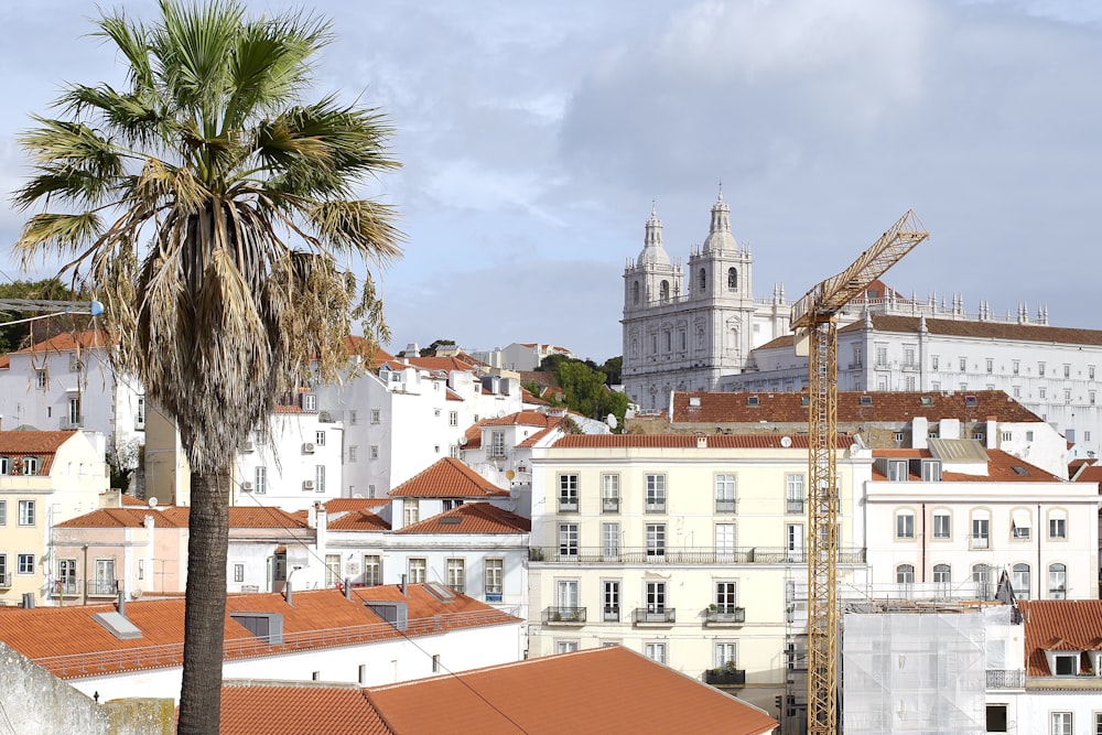 view photography of white and brown buildings