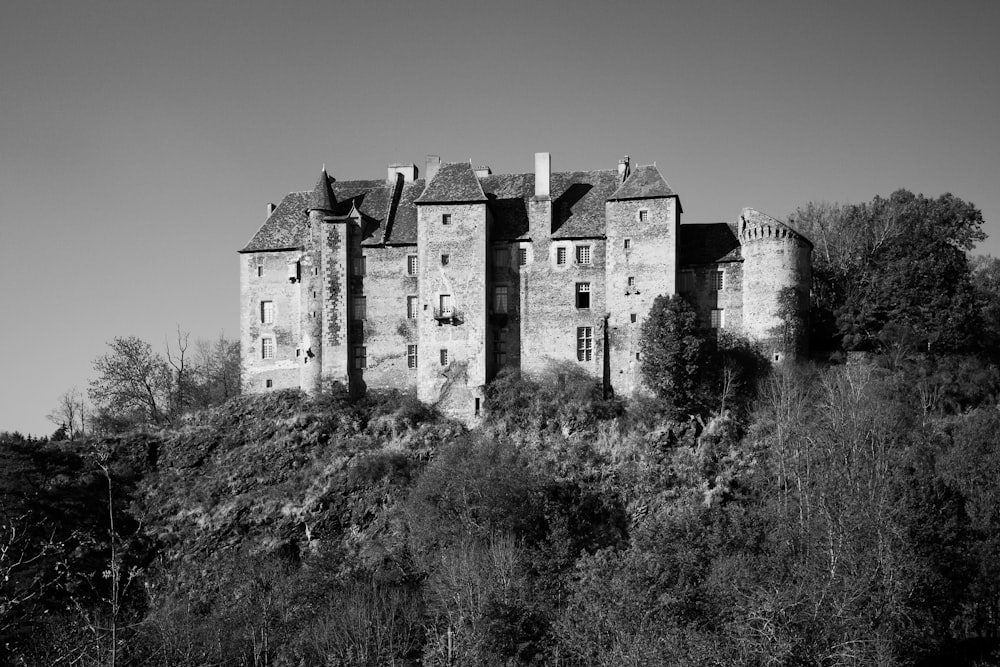 grayscale photo of huge building