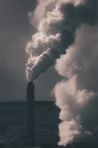 a black and white photo of a smoke stack