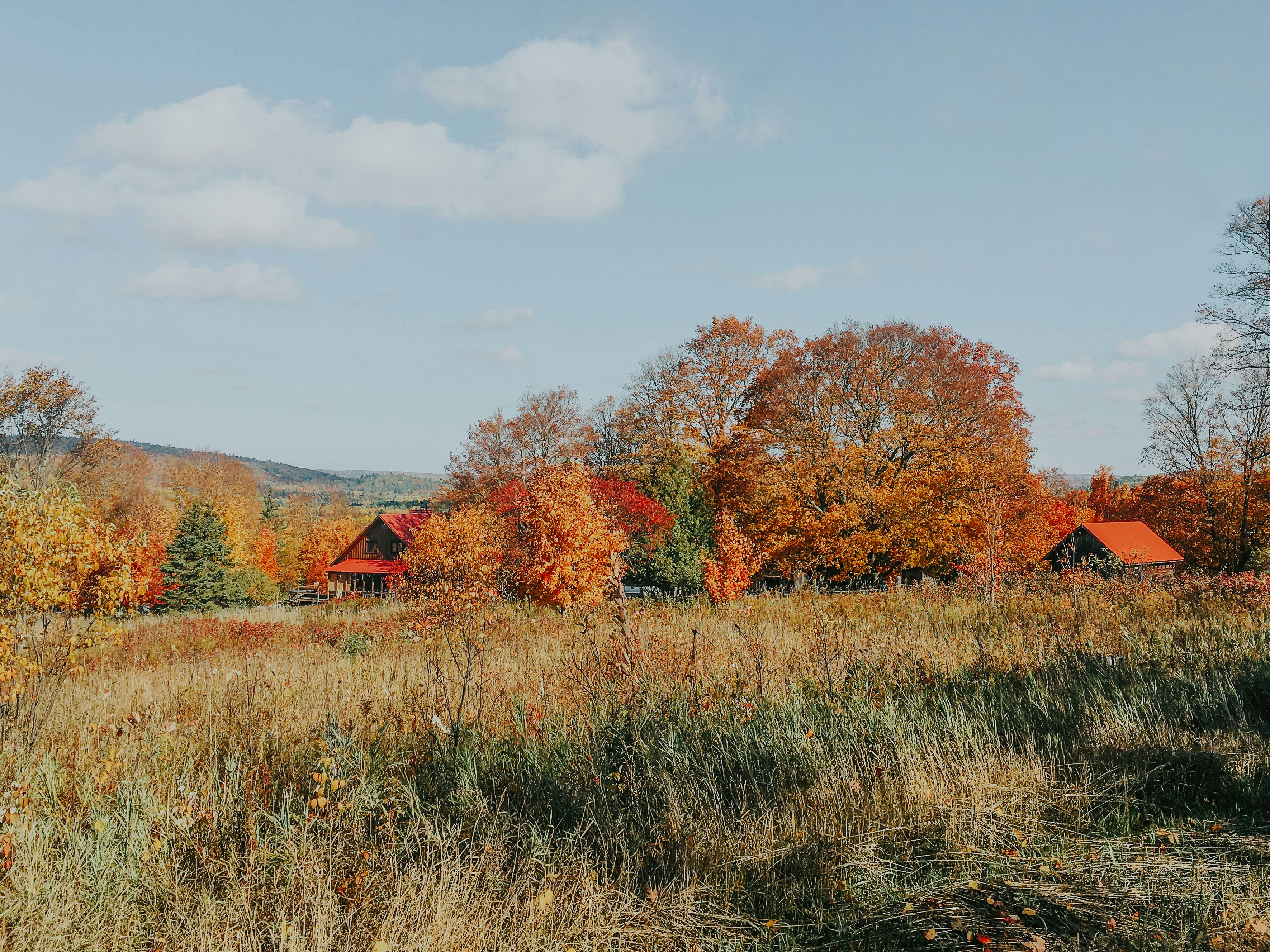 Photo by ryesullivan