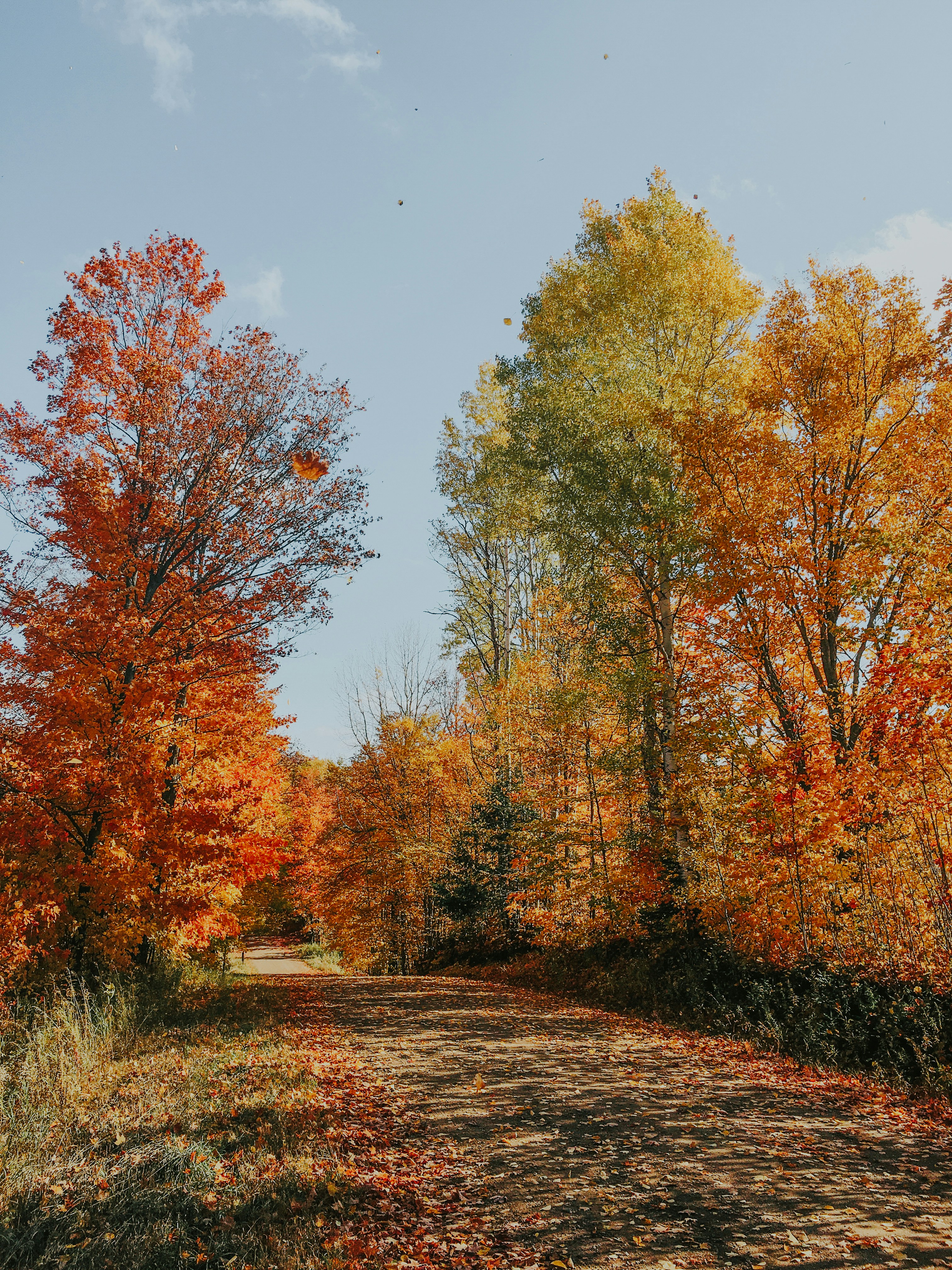 Photo by ryesullivan