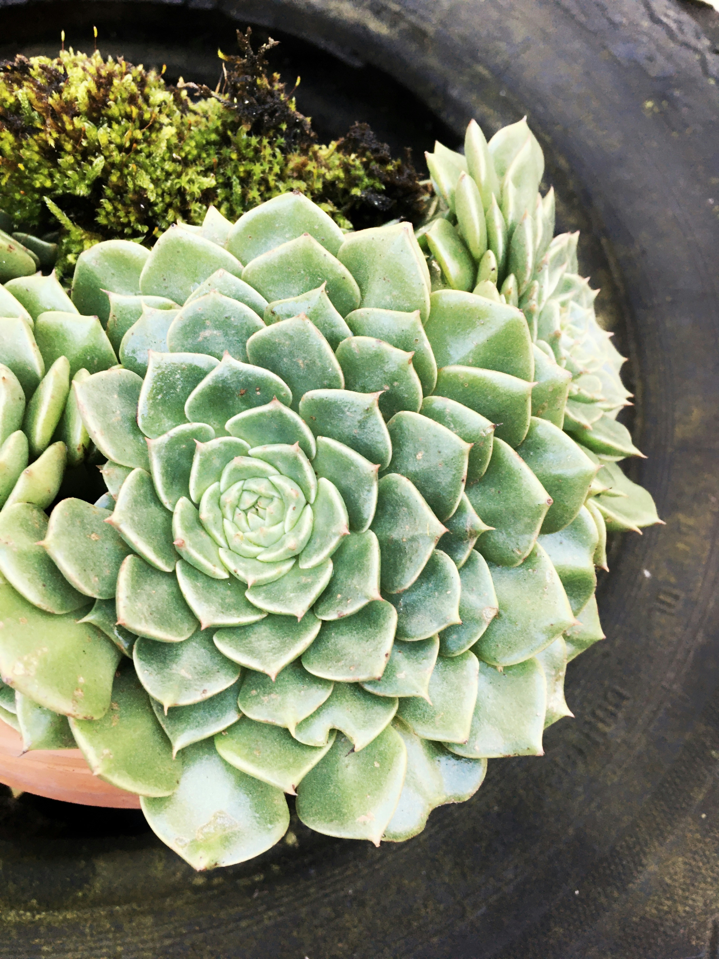 Photo by fanjatastisch