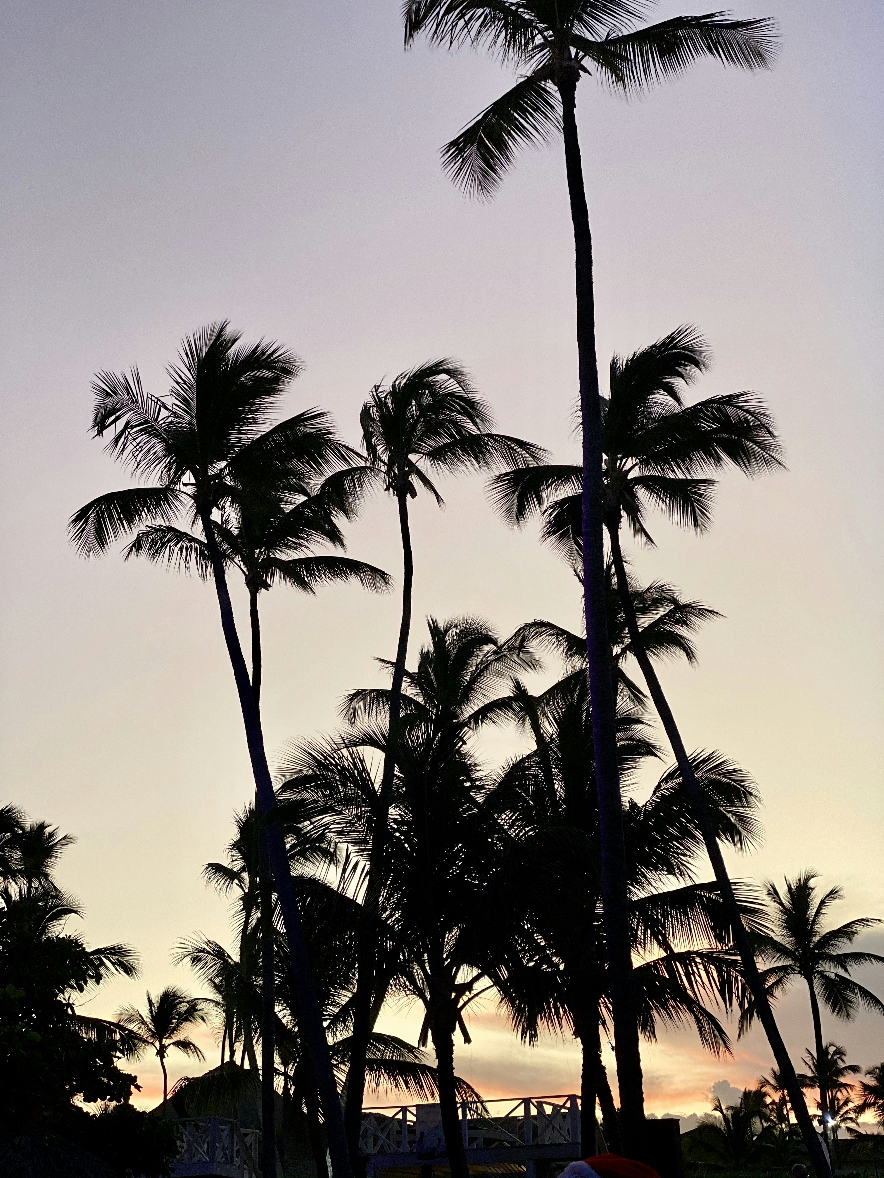 Photo by bigarnative