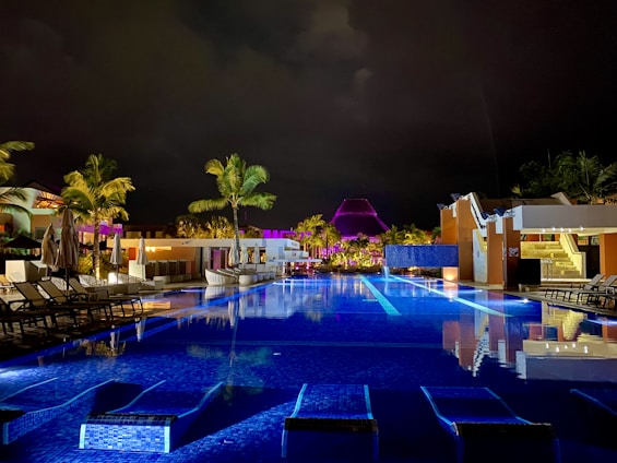 green palm trees beside swimming pool