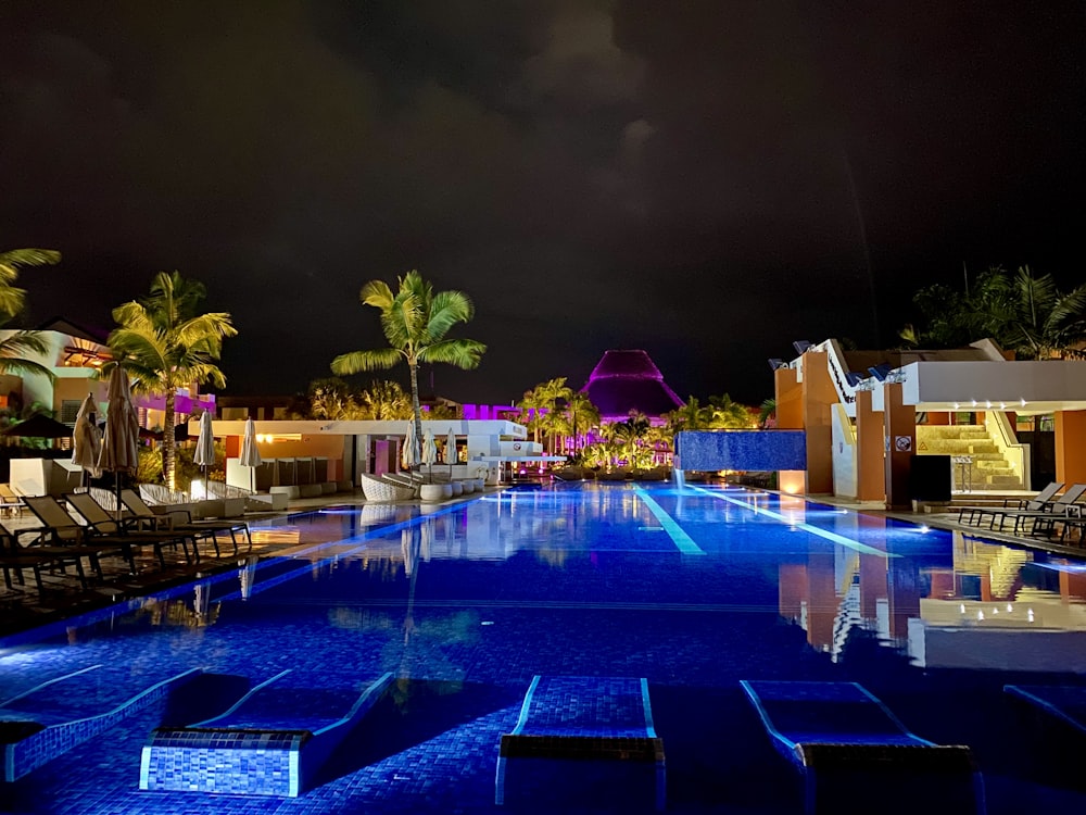 green palm trees beside swimming pool