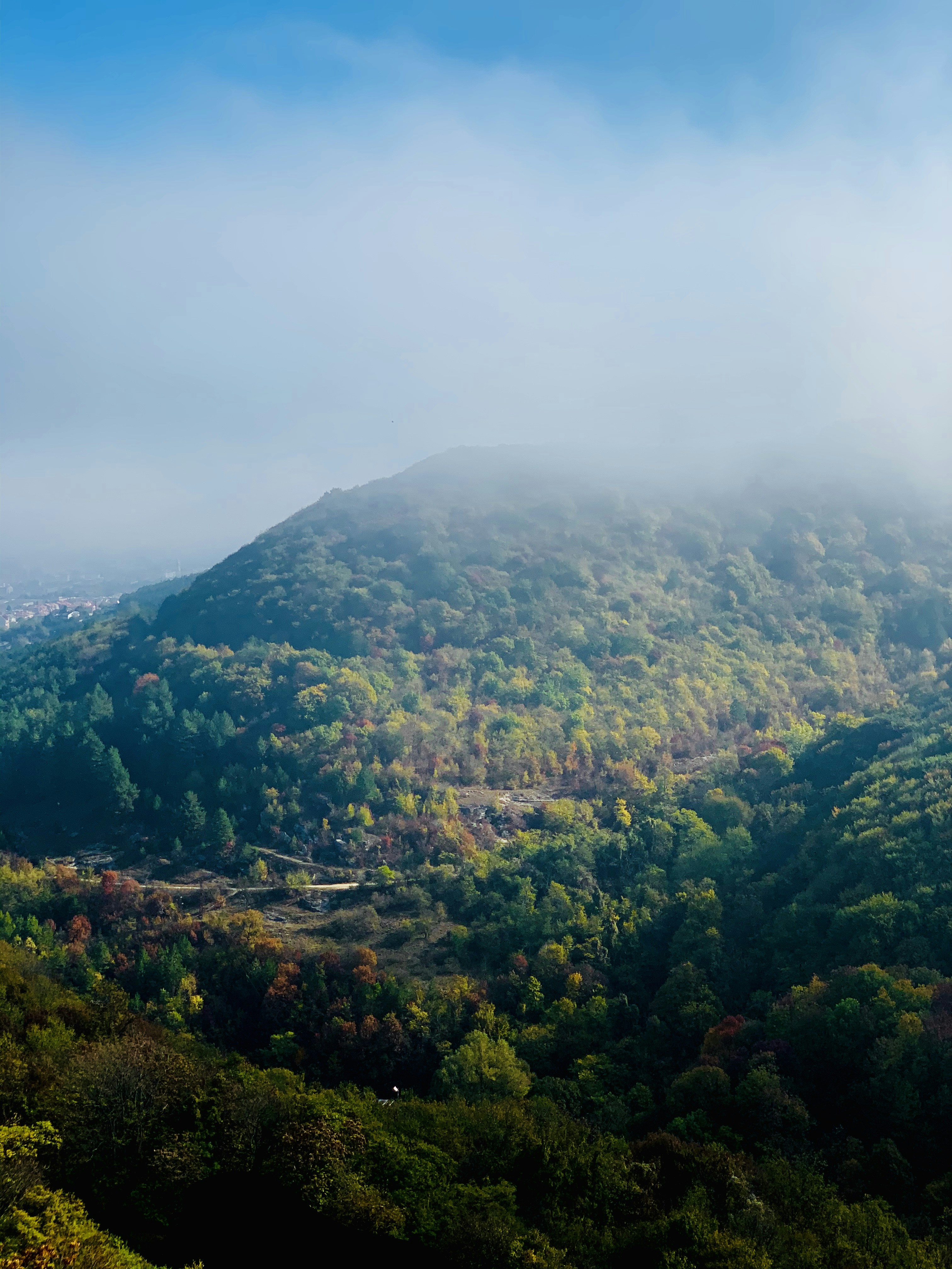 Photo by alexander_nedyalkov