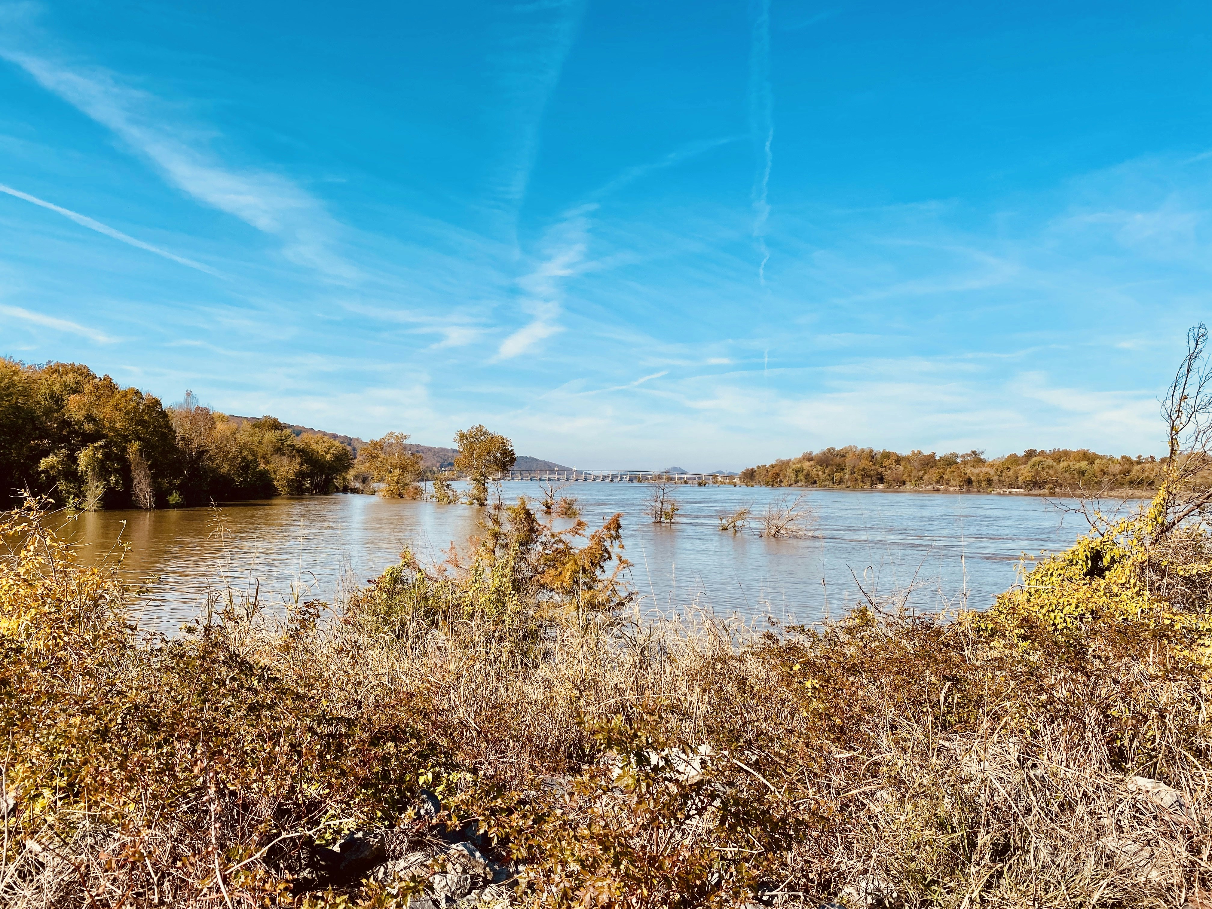 Photo by itsfullofstars