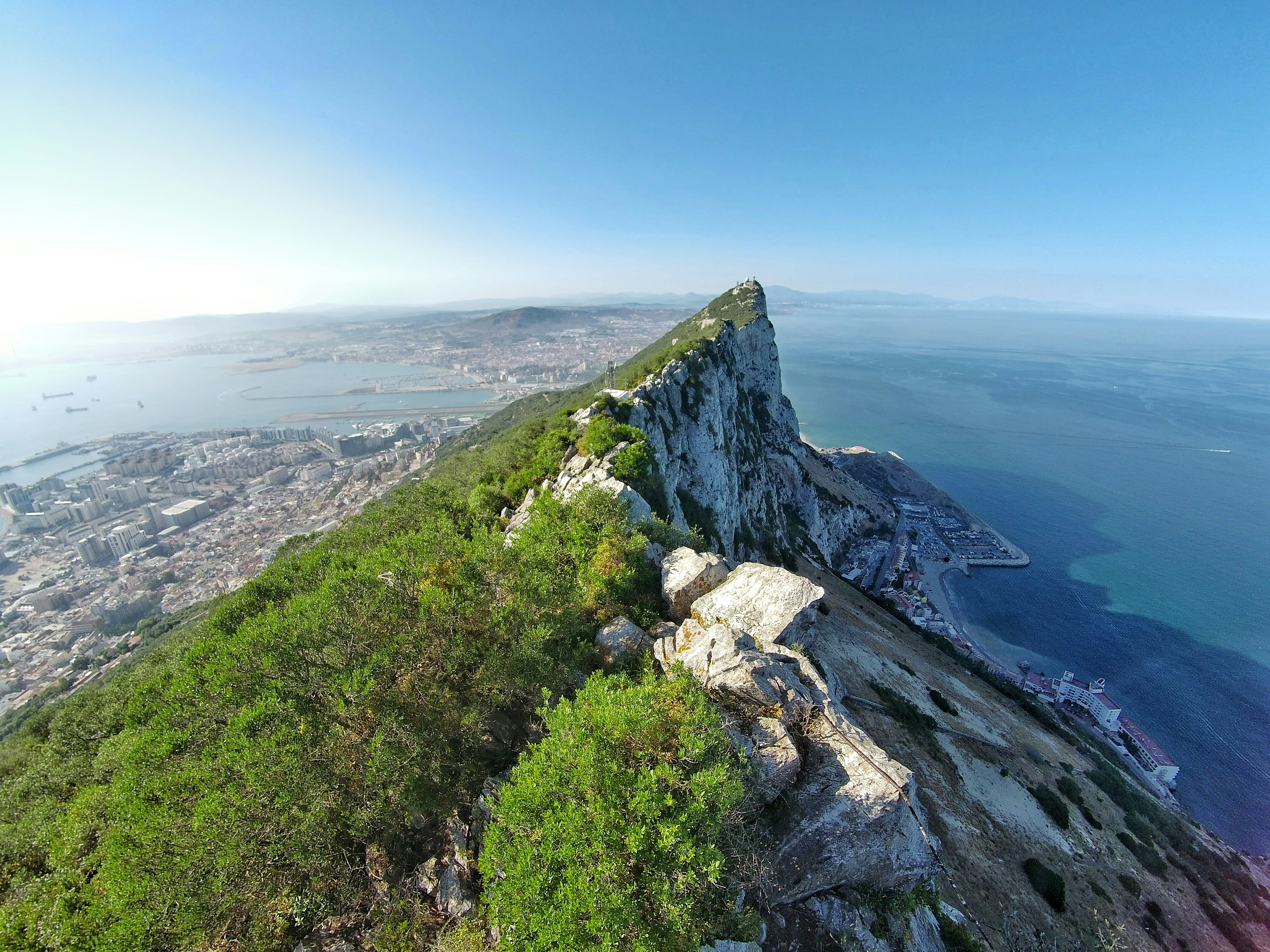 grey and white rock formation with green vegetation