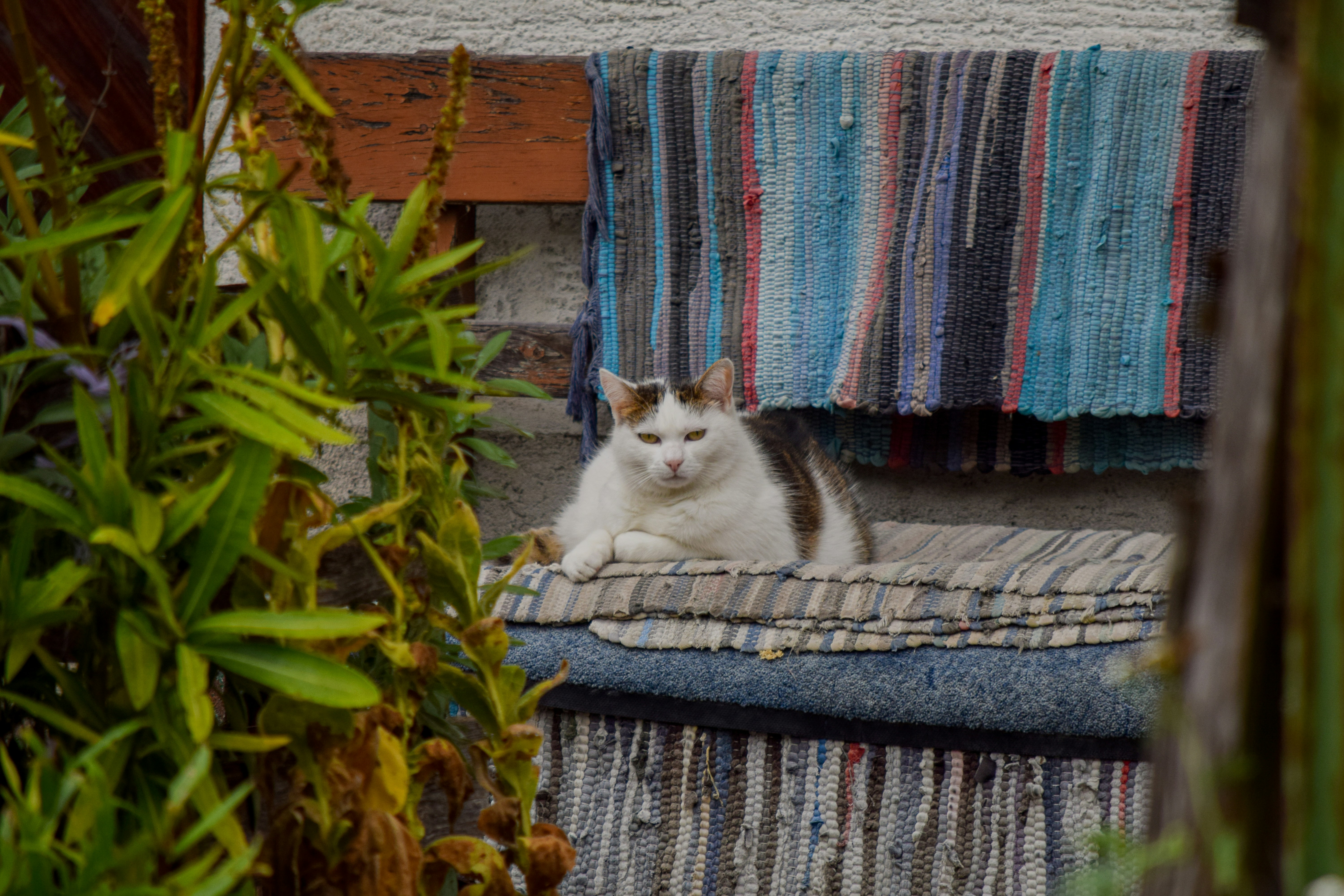 Photo by sheetal_cool