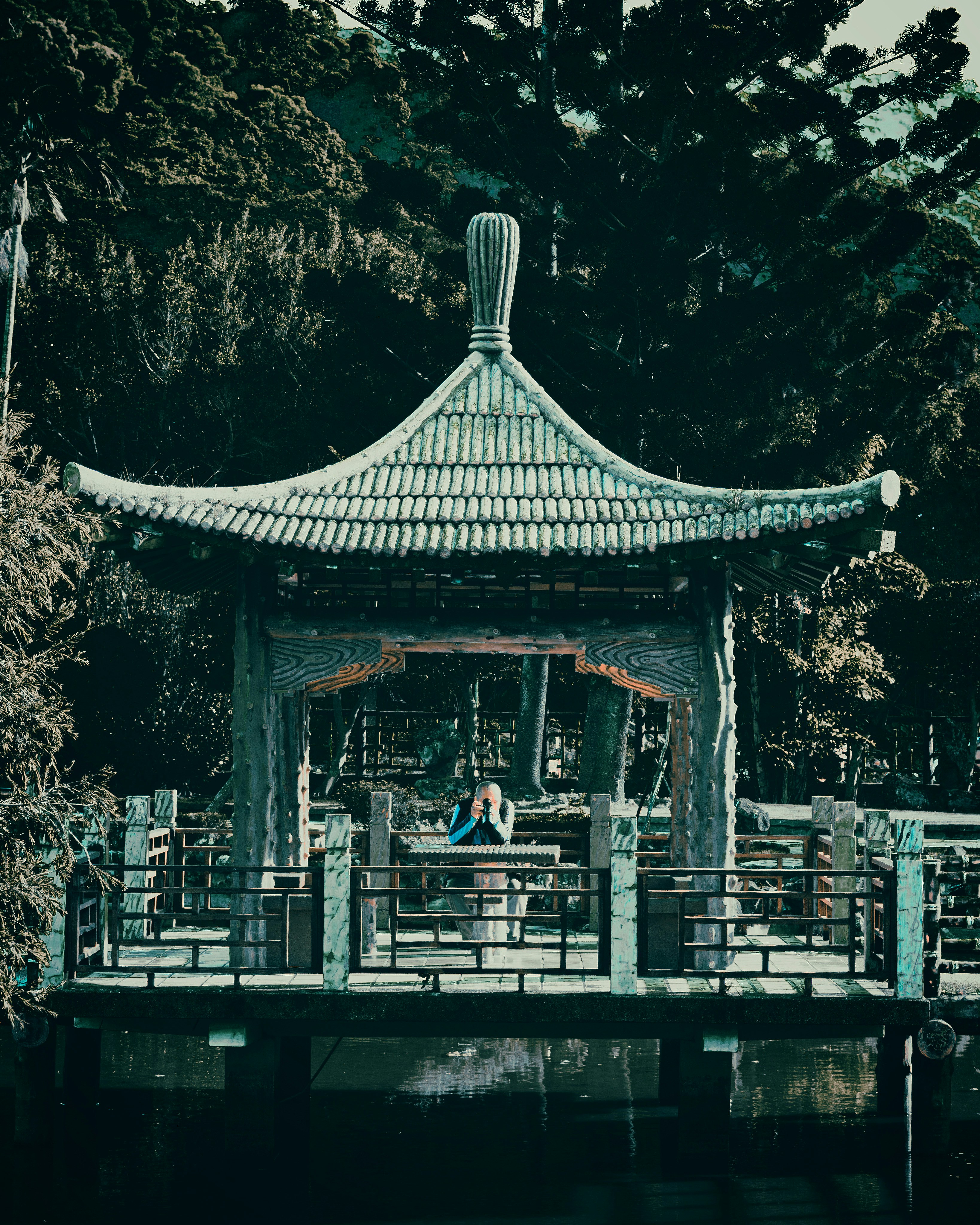 Photo by junhochak
