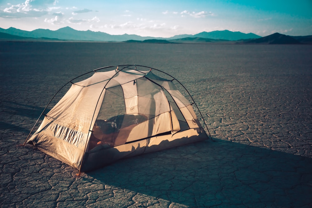 person inside gray tent during daytime