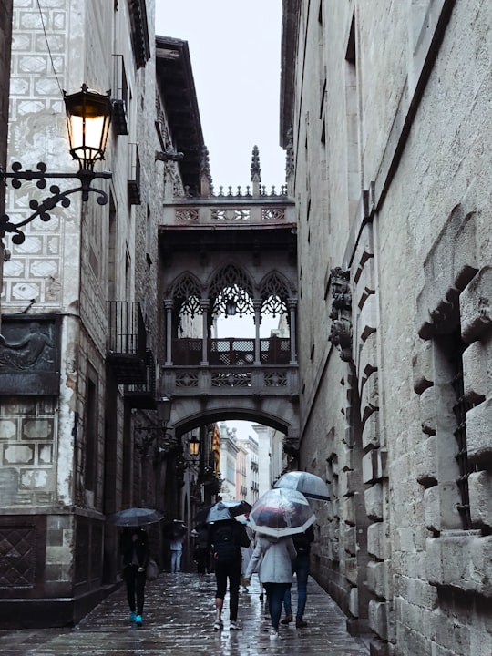 Gothic Quarter things to do in Carrer del Consell de Cent