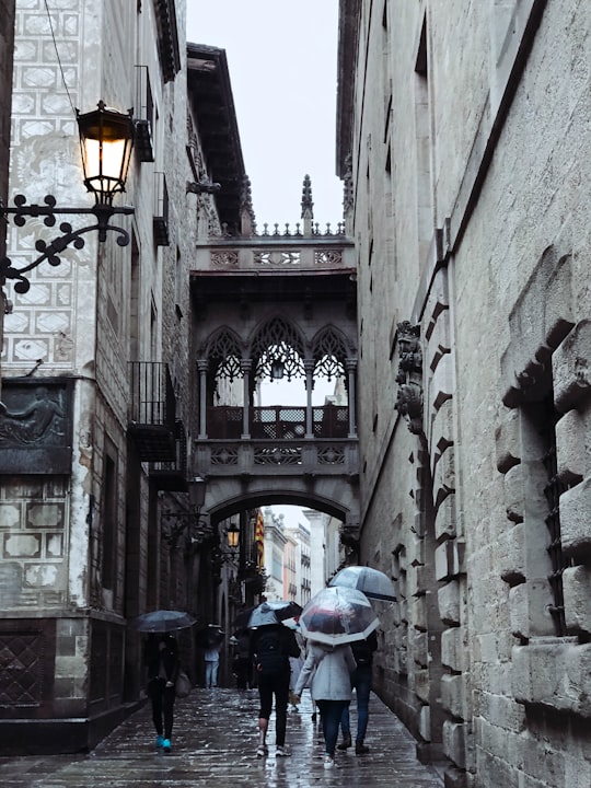 people using umbrella while walking on pathway near buildings during daytime in Carrer del Bisbe Spain