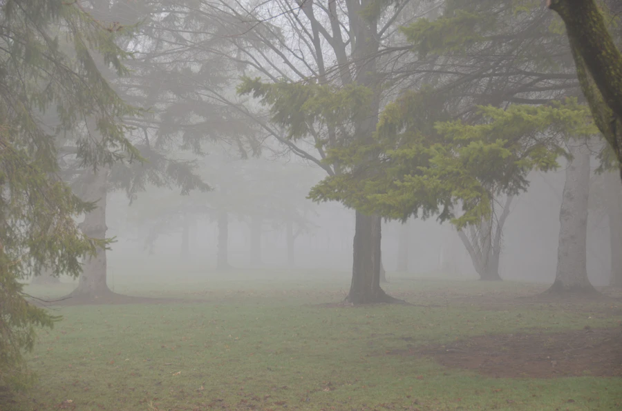 Long COVID Brain Fog Recovery: The Supplement Stack That Actually Works (UK)