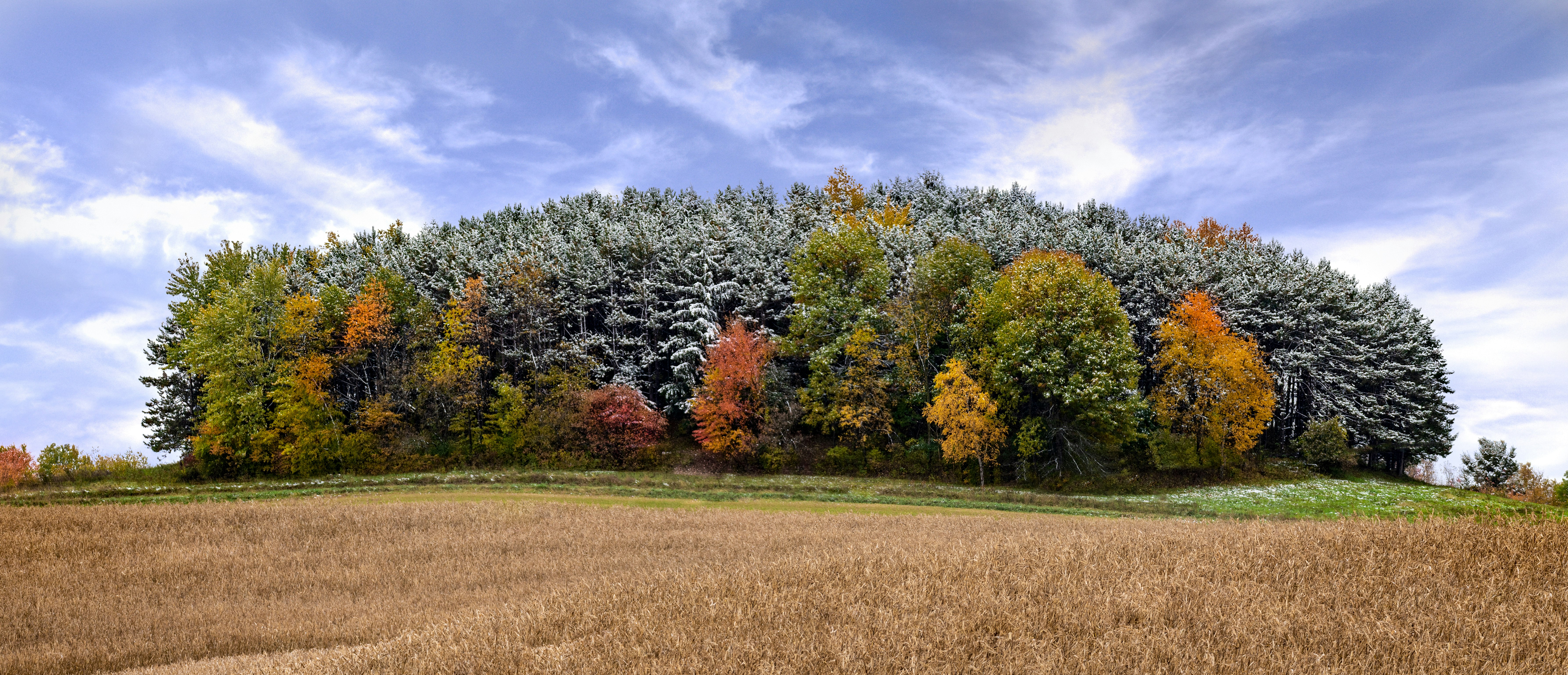 first frost, light snow, snow and leaves