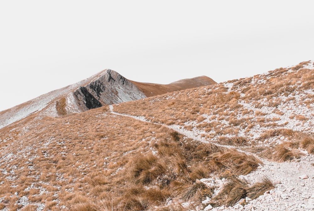 a snow covered mountain with a trail going through it