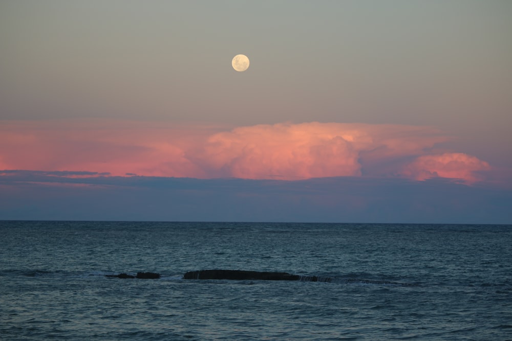 ocean during daytime