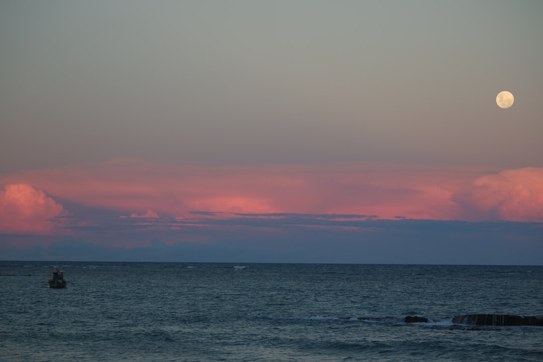 ocean during daytime