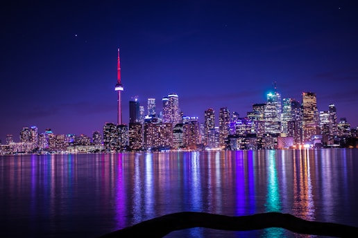 city with high-rise buildings viewing body of water during night time