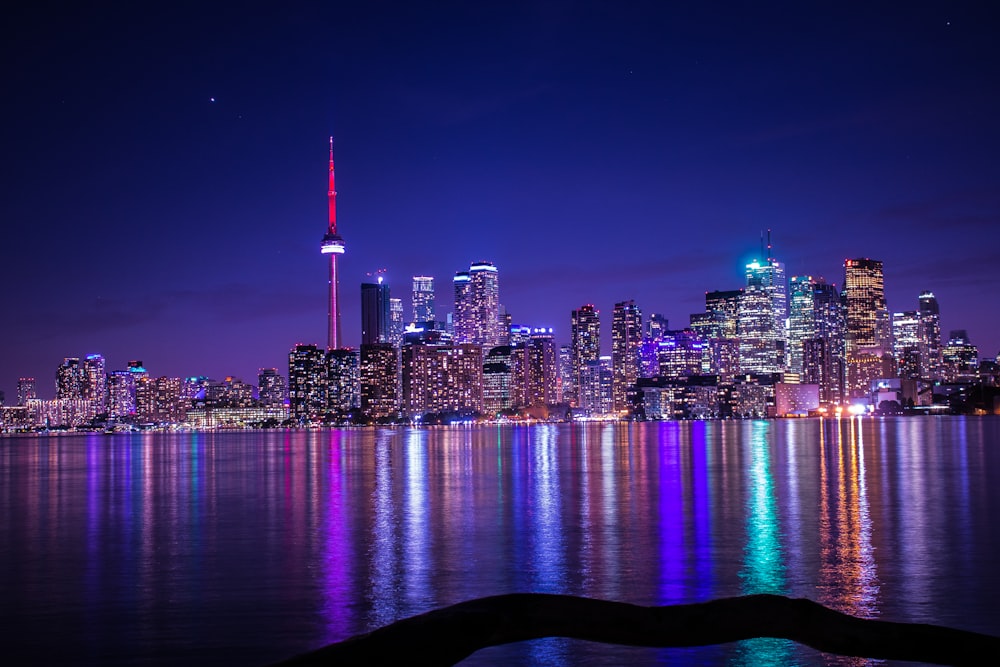 city with high-rise buildings viewing body of water during night time