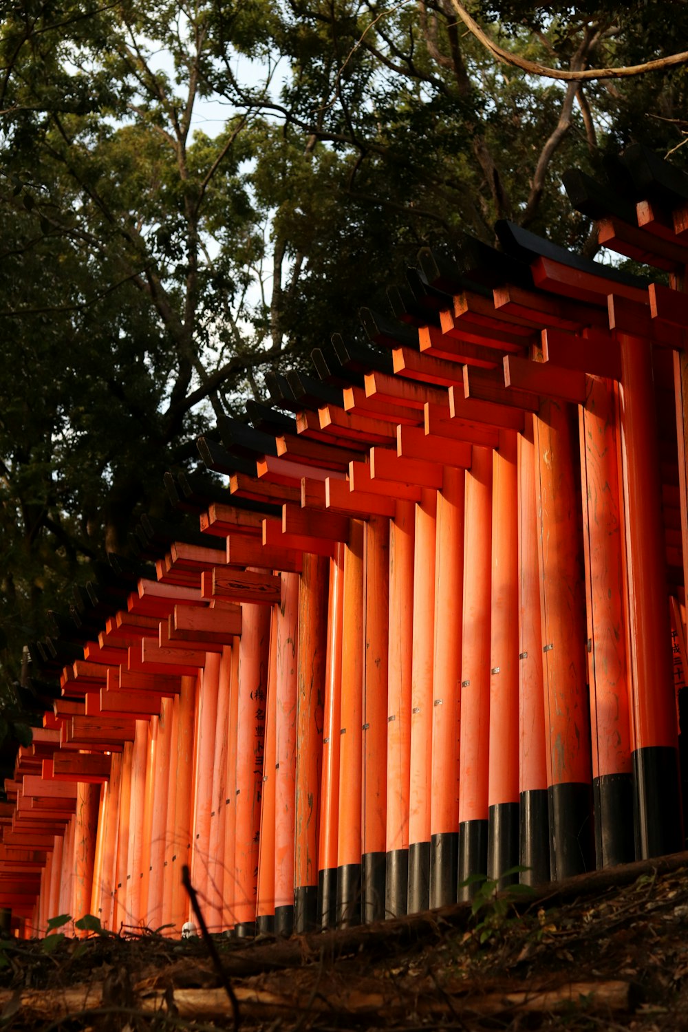 orange and black tori gates