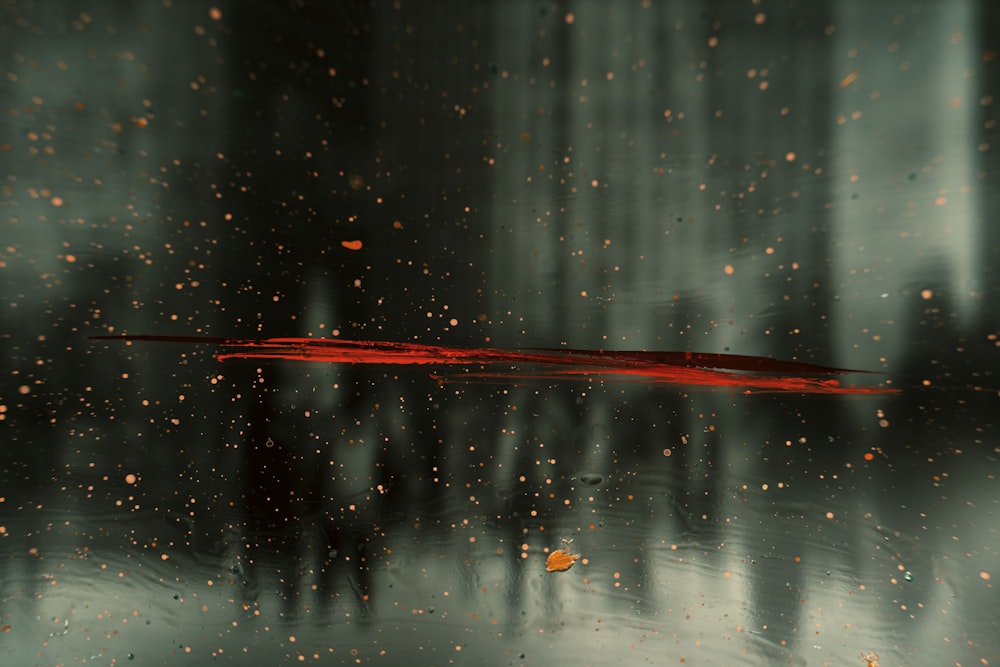 um guarda-chuva vermelho sentado em cima de uma poça d'água