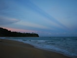 A tranquil Caribbean beach at sunset with soft waves and palm trees.